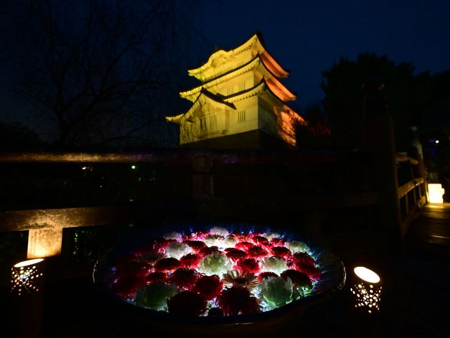 �E���O�K�E