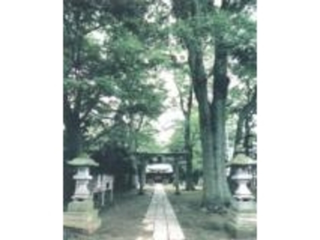 �󌭐�Õ��Q�̎ʐ^1