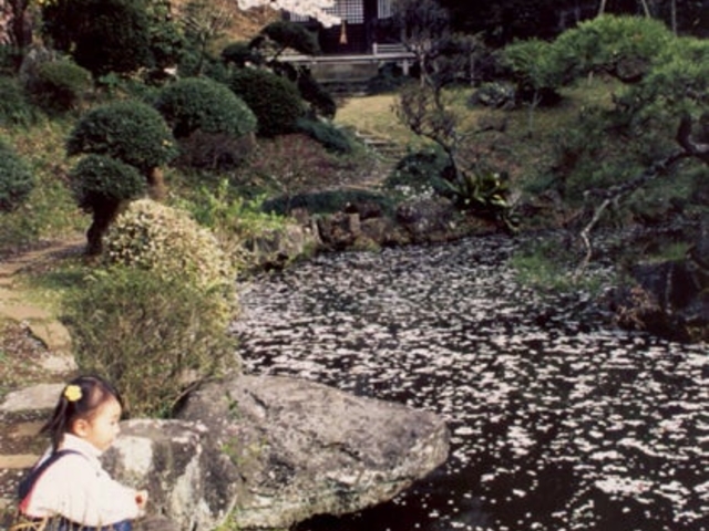 ���y���̎ʐ^1