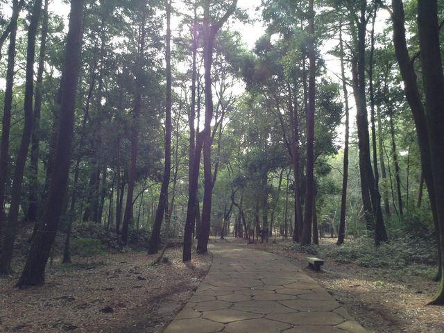 ���̋u����