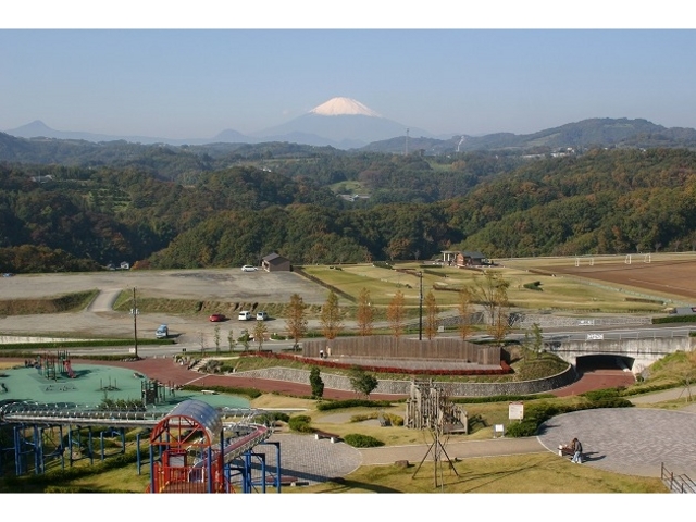 ���䒆������