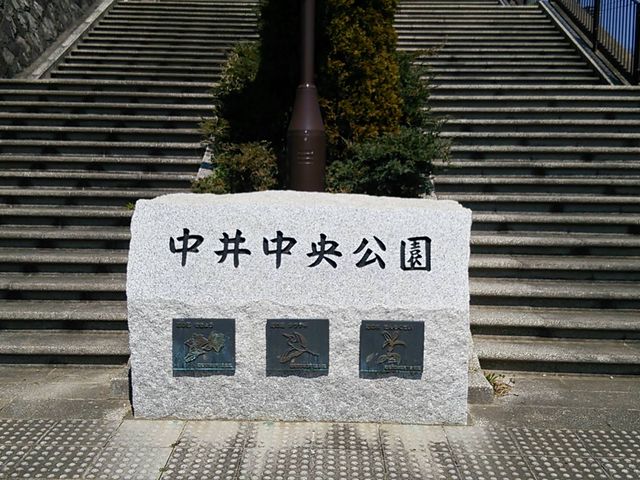 ���䒆������