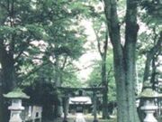 �󌭐�Õ��Q�̎ʐ^2