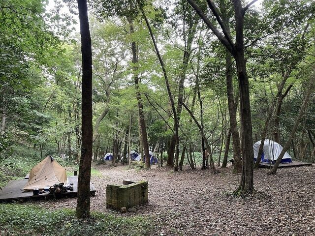 �Ȃ����ӂꂠ���̐X