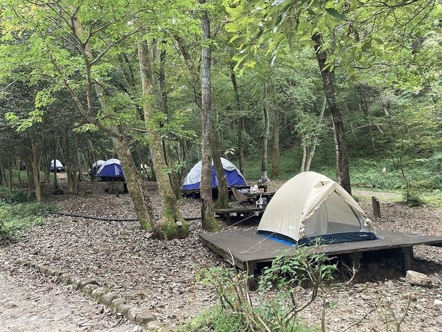 �Ȃ����ӂꂠ���̐X