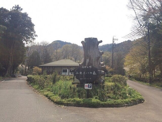 �Ȃ����ӂꂠ���̐X