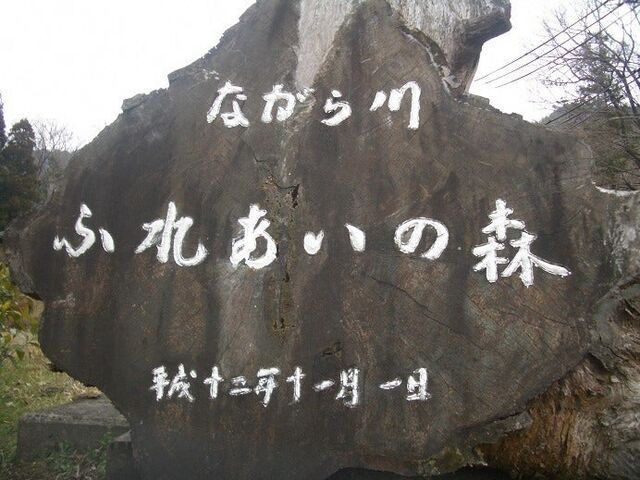 �Ȃ����ӂꂠ���̐X