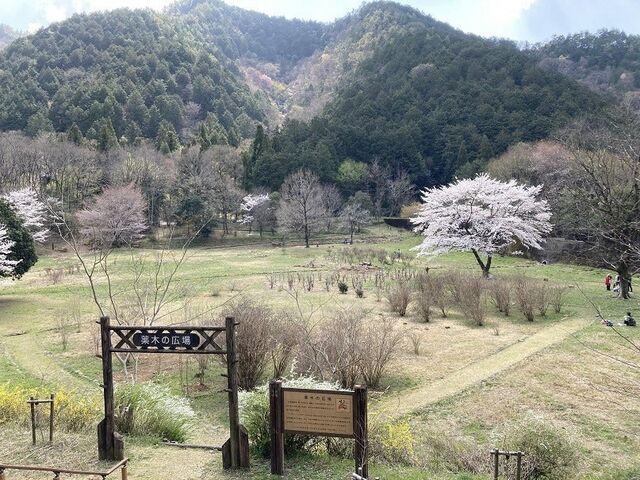 �Ȃ����ӂꂠ���̐X