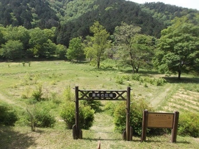 �Ȃ����ӂꂠ���̐X