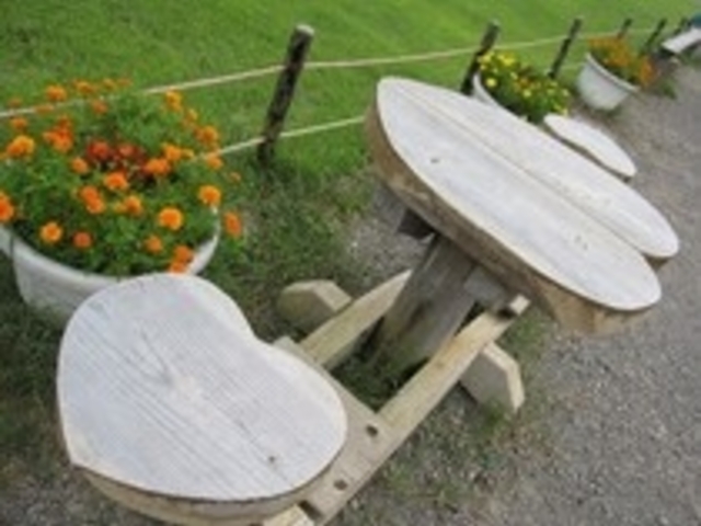 ��敶������