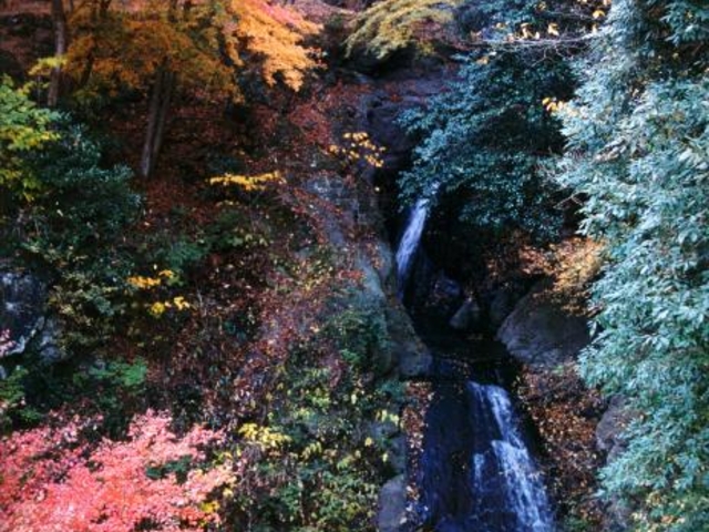 �͂��ܑ�_�͂��ܑ�I�[�g�L�����v��