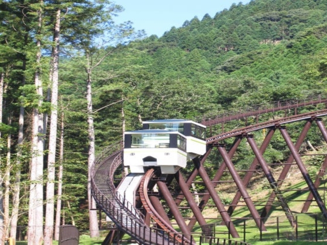 �������X�щ����ό�����̎ʐ^2