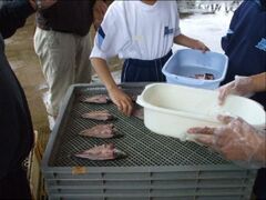 �쌴�̌����Ǝ{�݂����̂߂̎ʐ^