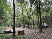 �Ȃ����ӂꂠ���̐X�̎ʐ^2