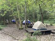 �Ȃ����ӂꂠ���̐X�̎ʐ^3