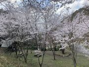 �Ȃ����ӂꂠ���̐X�̎ʐ^4