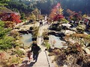 �������̎ʐ^1