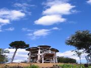 �������X�щ����ό�����̎ʐ^1