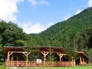 �������X�щ����ό�����̎ʐ^3