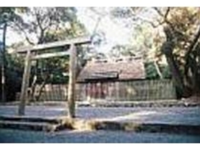 �䉖�a�Ղ̌�T���Ԃ͌������򐻂����_�䉖�a�_��