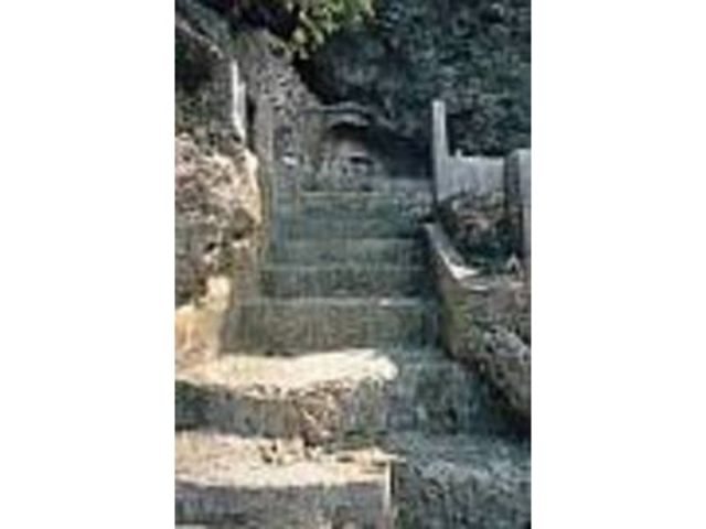 ���݂ł������̐l�̐��q�̑ΏۂɂȂ��Ă���_�A�}�~�`���[�̕�