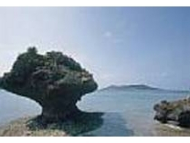 �l�k�Ó��̔������C�Ɉ͂܂�A�Â��ɖ���_�A�}�~�`���[�̕�