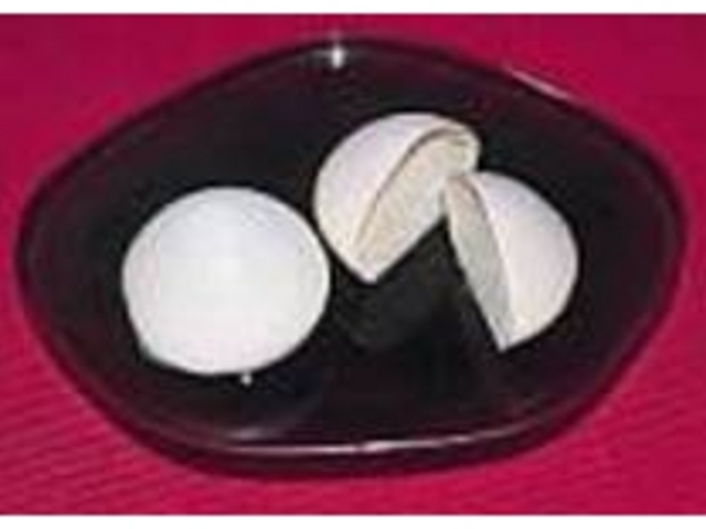 RƂ`킢wz[ECx_َq@~Ɓ@̉ԓX