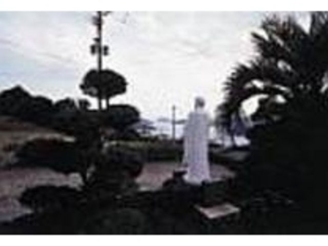 ����]�̓��X���ƂĂ����ꂢ�ɖ]�߂�_�J�g���b�N��T����