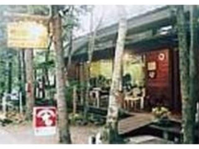 PTȂقǂeX͌̓Ȃnj_JtFeXyDOG