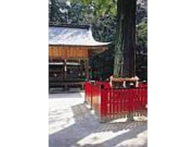 ����R�O�O�N�̐��̌�_���������������_��X�_��