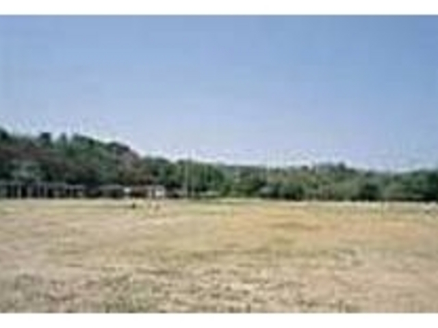 �Ő��L��̂܂��ɂ͓��I��V�����_��R����