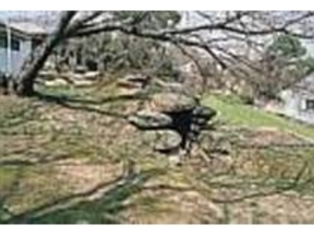 �ΐ����Q�����B����ȌÕ����_�݂��Ă���_��R����