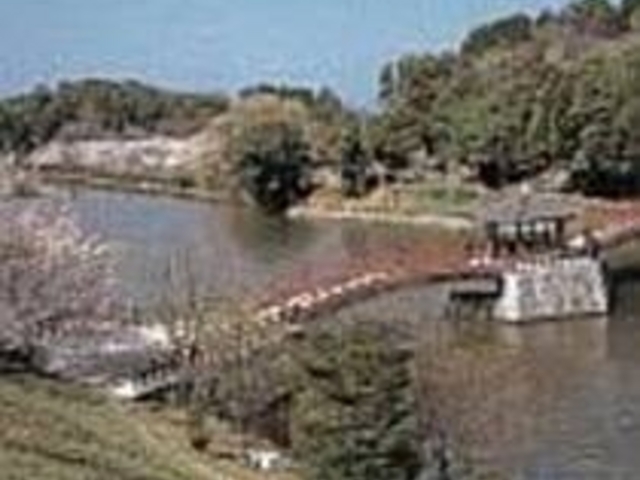 ���ʂɉf����Ԃ������͌����̃V���{��_�����T�ߌ���