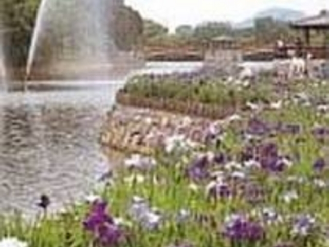 �U����{���ɂȂ�ƏҊ����������}����_�����T�ߌ���