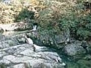 崗��������̎ʐ^2