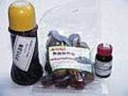 ���������̊ւ̎ʐ^2