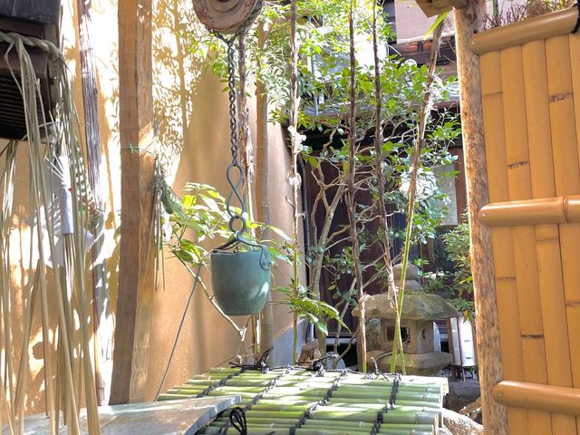 ���w���炵�̔��p�ف@�y�c��