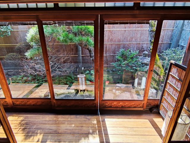 ���w���炵�̔��p�ف@�y�c��