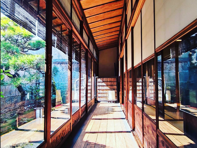 ���w���炵�̔��p�ف@�y�c��