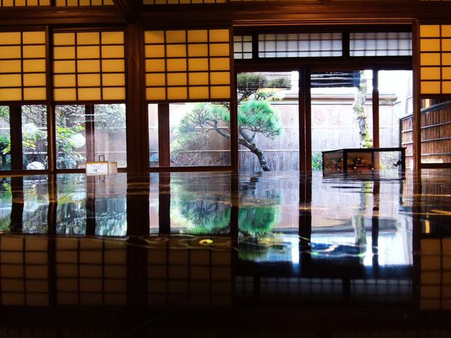 ���w���炵�̔��p�ف@�y�c��