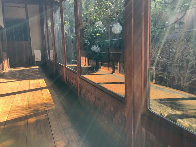 ���w���炵�̔��p�ف@�y�c��