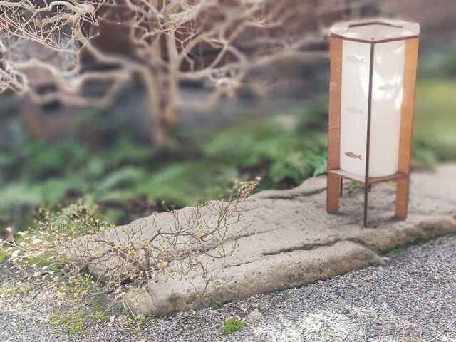 ���w���炵�̔��p�ف@�y�c��