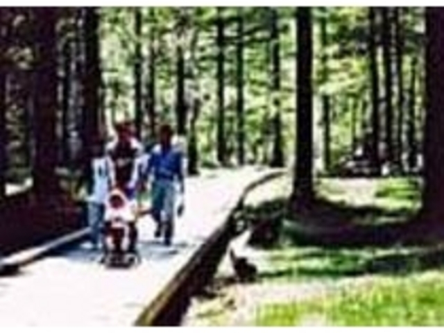 �U��R�[�X�ł͑厩�R�𖞋i�ł���_�ˉB�X�ѐA����