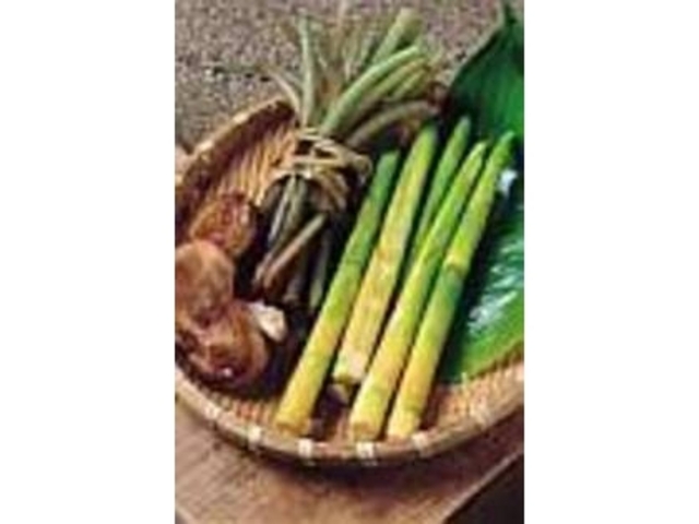 G߂ɂĈR؂킦_߂̓ʊف@Ȑh