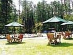 ���n���x���_�[���]�[�g�I�[�g�L�����v��̎ʐ^1