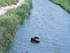 わんだぁえっぐ ネイチャー&チャイルドの写真1