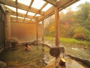 V{S{YɎw@铒huOفv̎ʐ^3