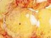 n쉢َq@vXE`bv̎ʐ^2