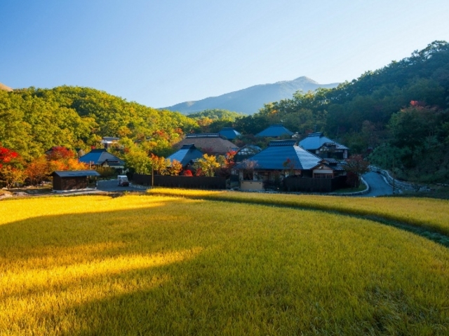 �H_�݂�܃_�C�j���O��