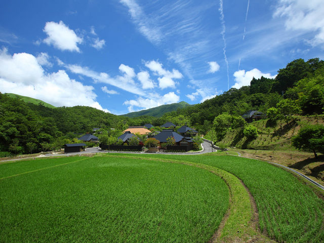 ��_�݂�܃_�C�j���O��